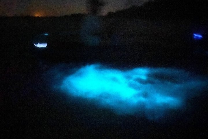 a screen shot of a computer