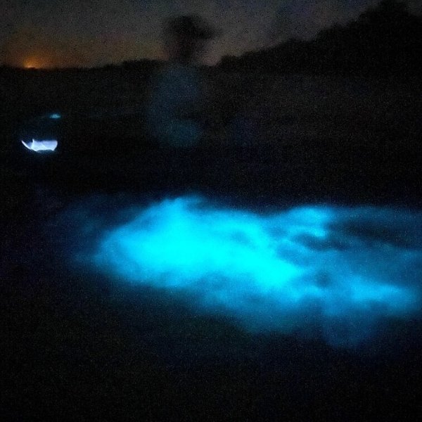 a screen shot of a computer