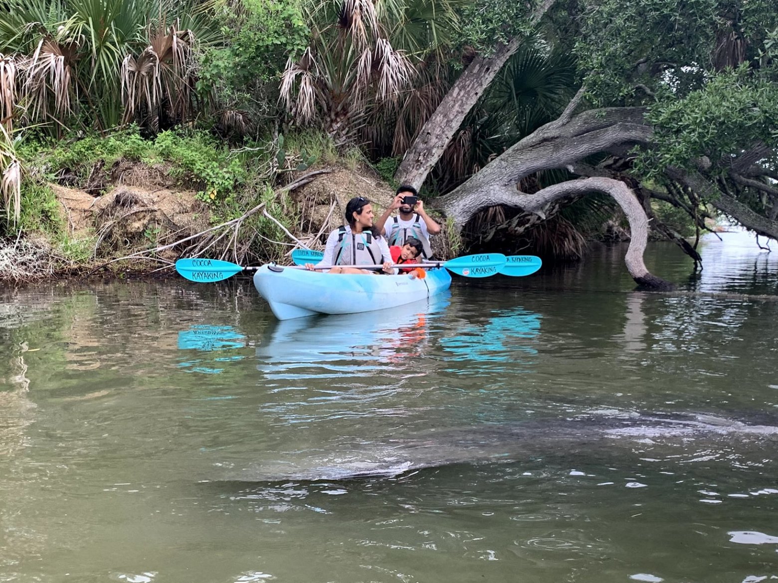 a group of people swimming in a body of water