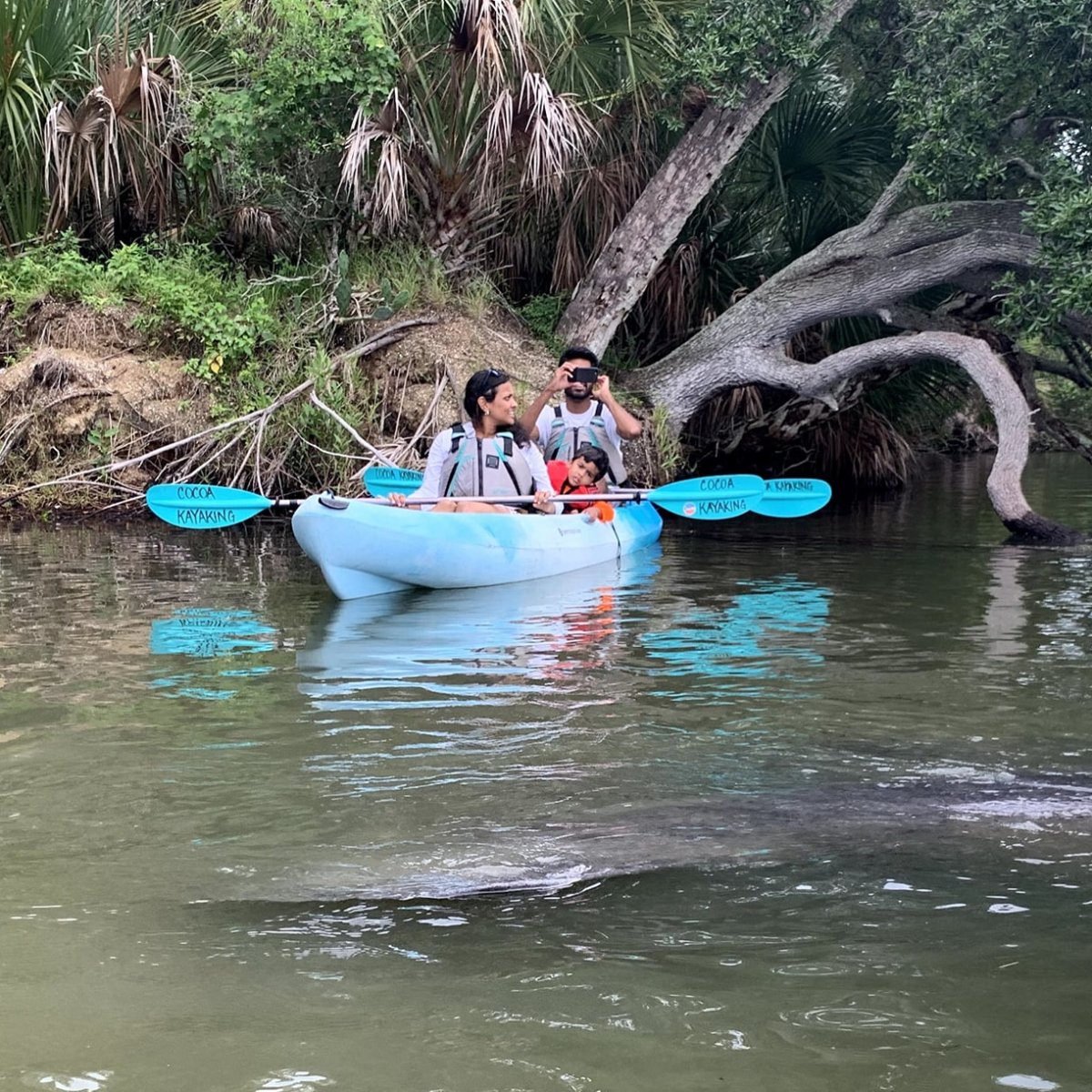 a group of people swimming in a body of water