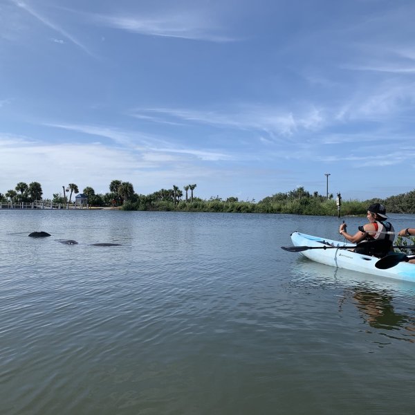 a group of people riding skis on a body of water