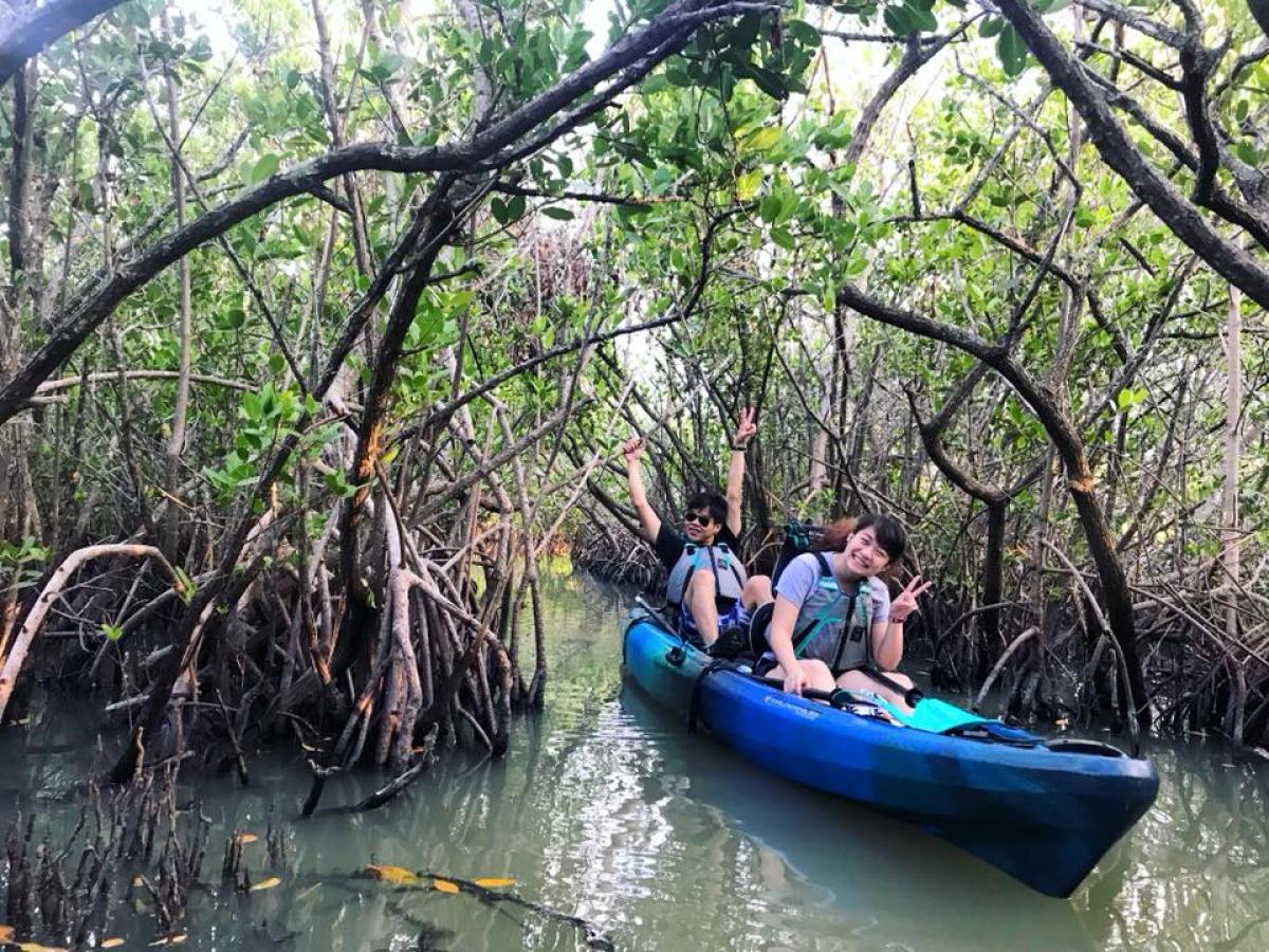 a group of people on a boat in the water next to a tree
