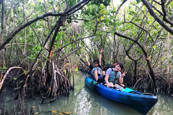 a group of people on a boat in the water next to a tree