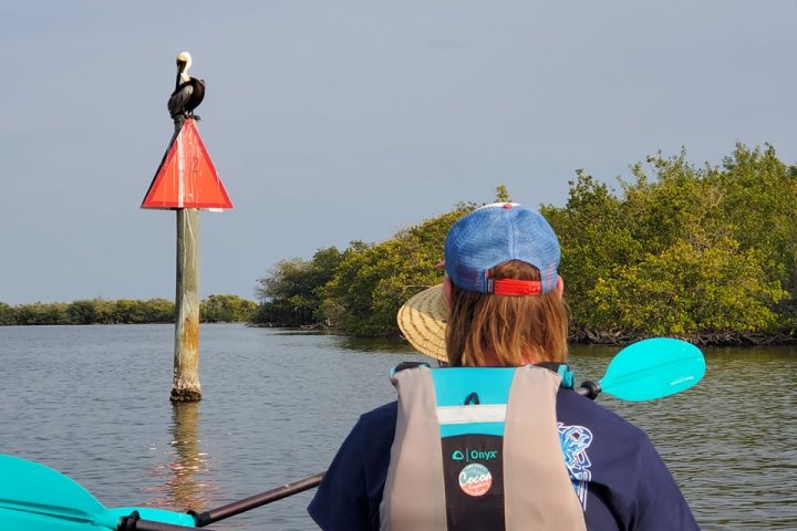 a person standing next to a body of water