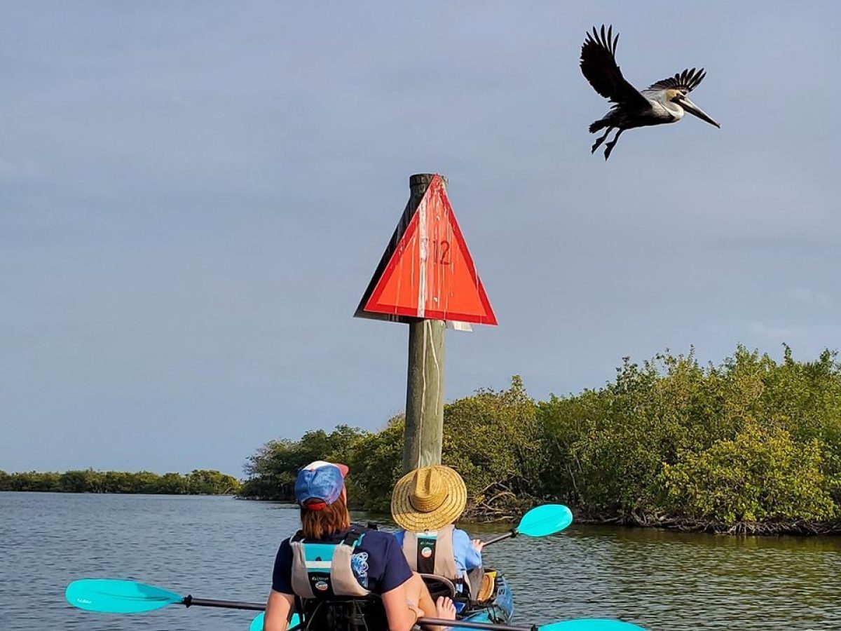 a person flying a kite in a boat on a body of water