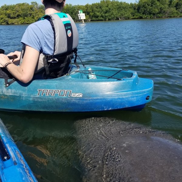 a person in a blue boat sitting next to a body of water