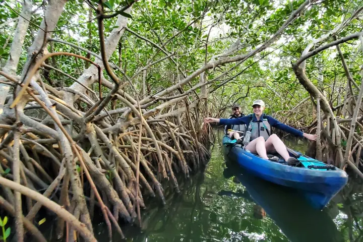 a person sitting in a tree