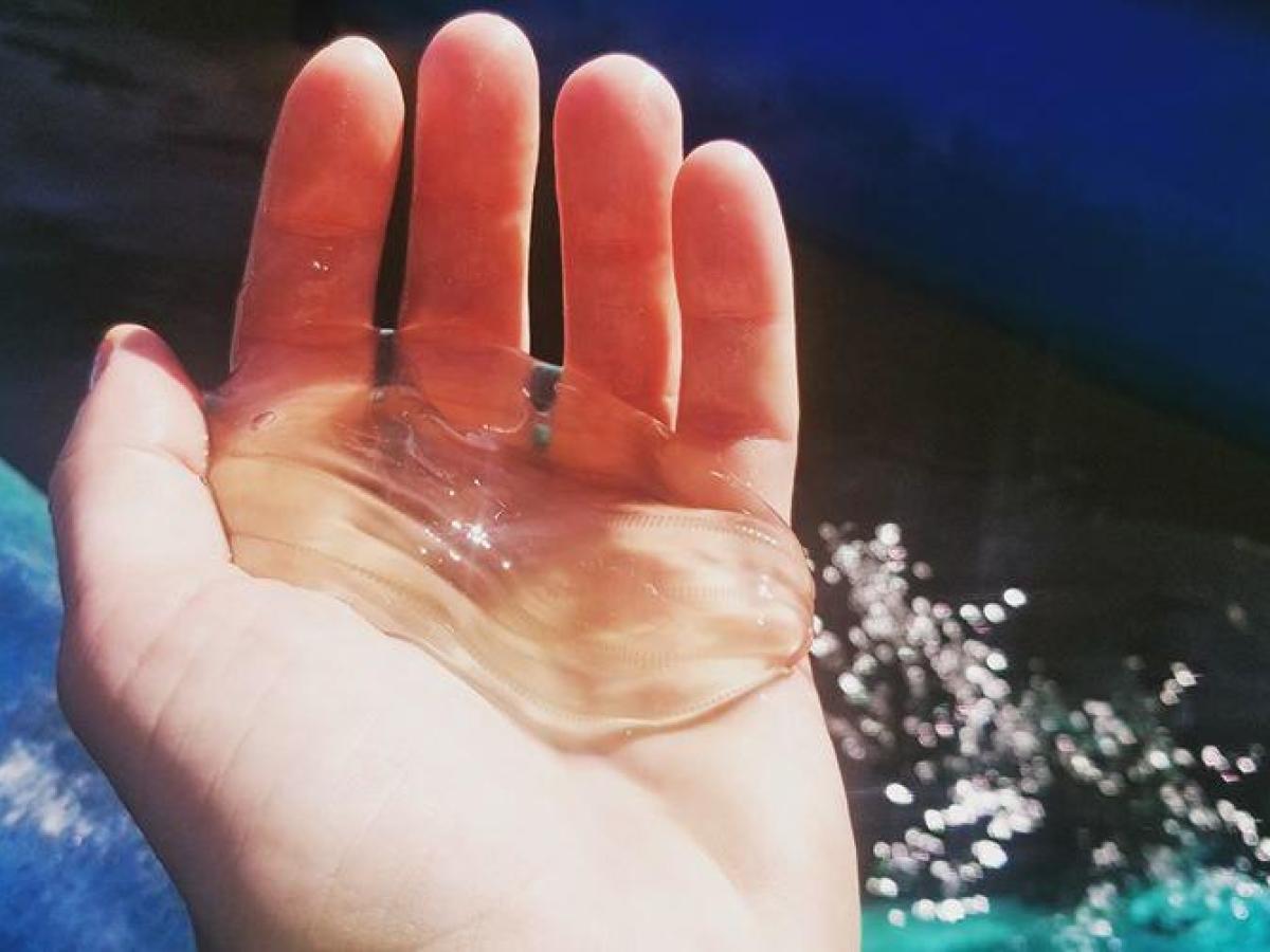 a hand holding a glass of water