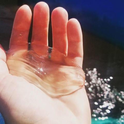 a hand holding a glass of water