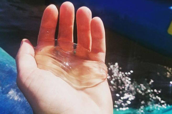 a hand holding a glass of water