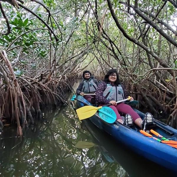 a person riding on the back of a boat next to a tree