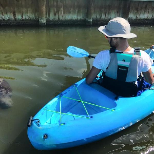 a blue and white boat sitting next to a body of water