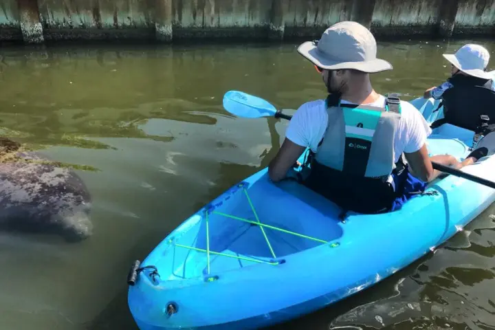 a blue and white boat sitting next to a body of water
