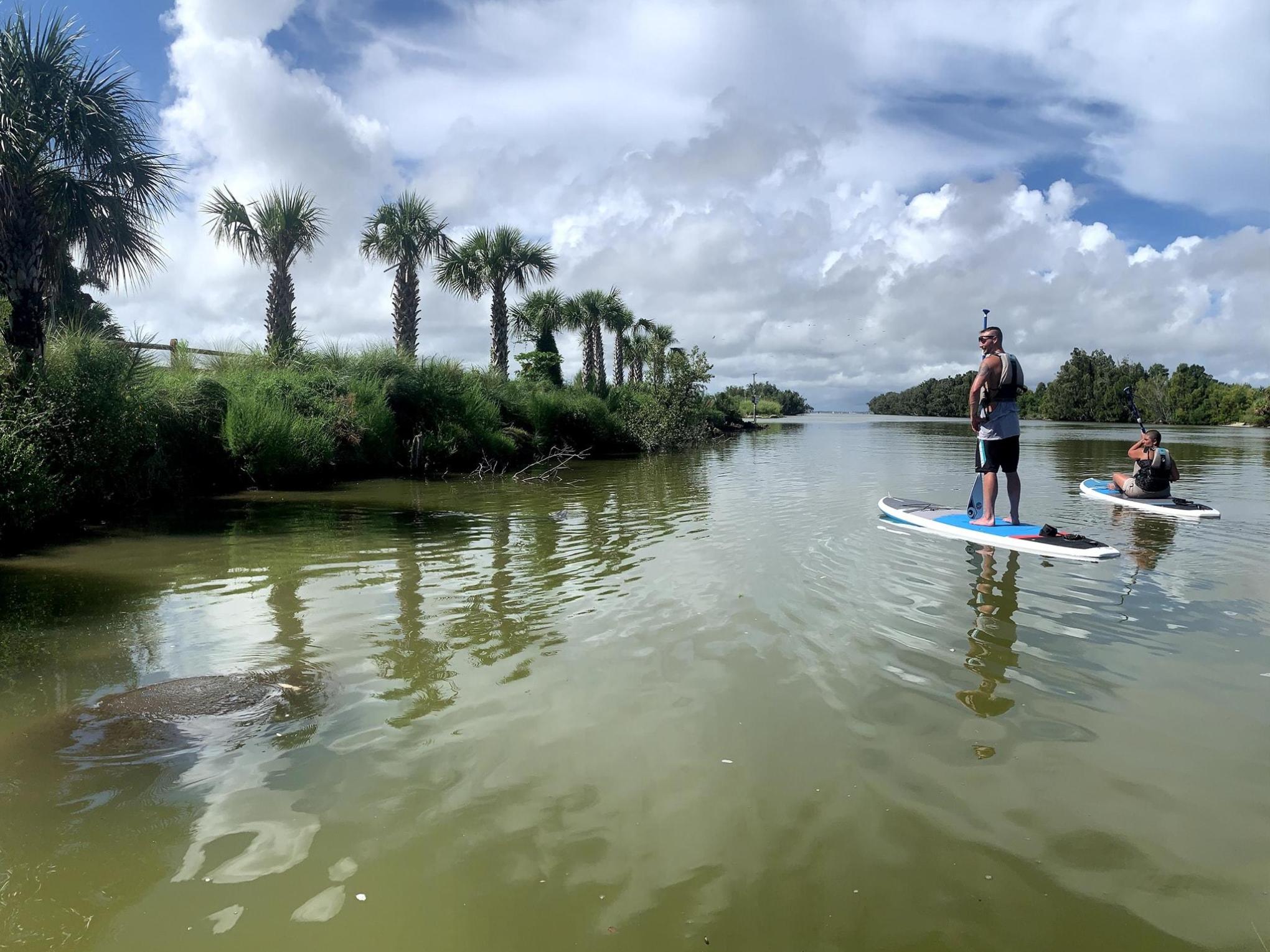 a group of people riding skis on a body of water