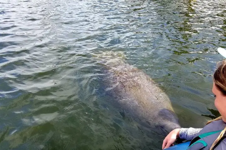 a person swimming in a body of water