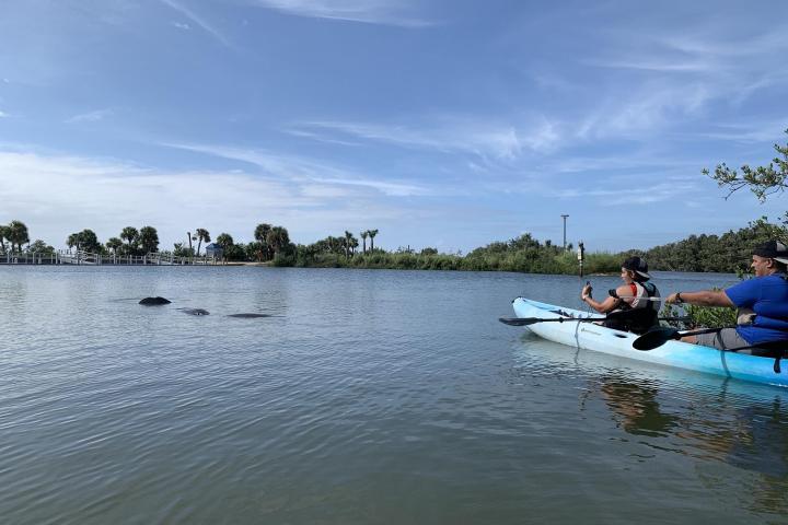 a group of people rowing a boat in a body of water