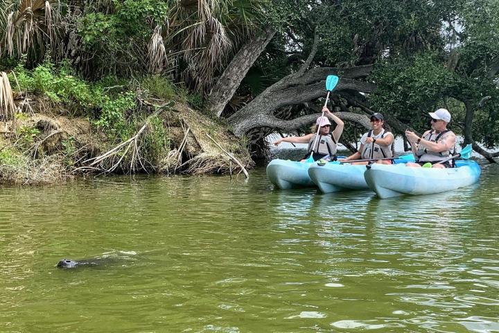 a group of people on a boat in the water