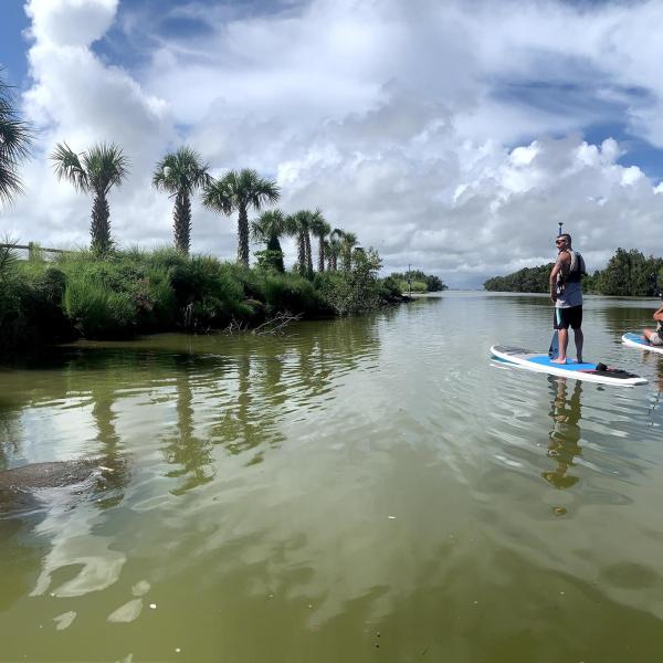 a group of people riding skis on a body of water