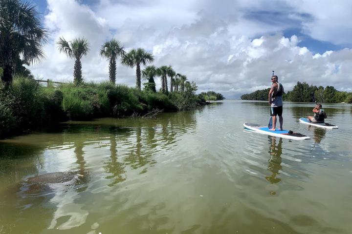 a group of people riding skis on a body of water