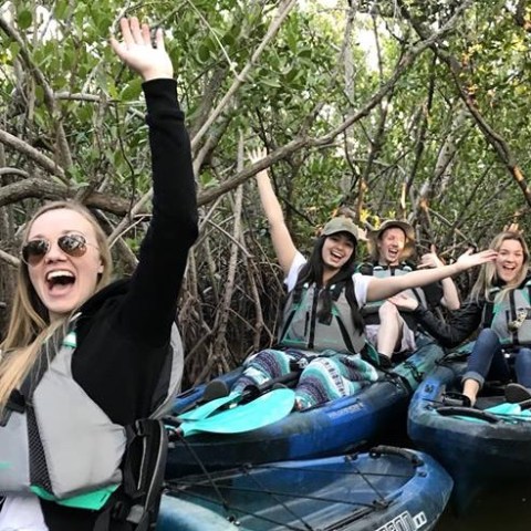 a group of people standing next to a tree