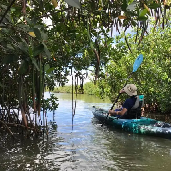 a person riding on the back of a boat in the water
