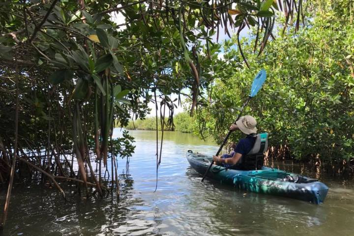 a person riding on the back of a boat in the water