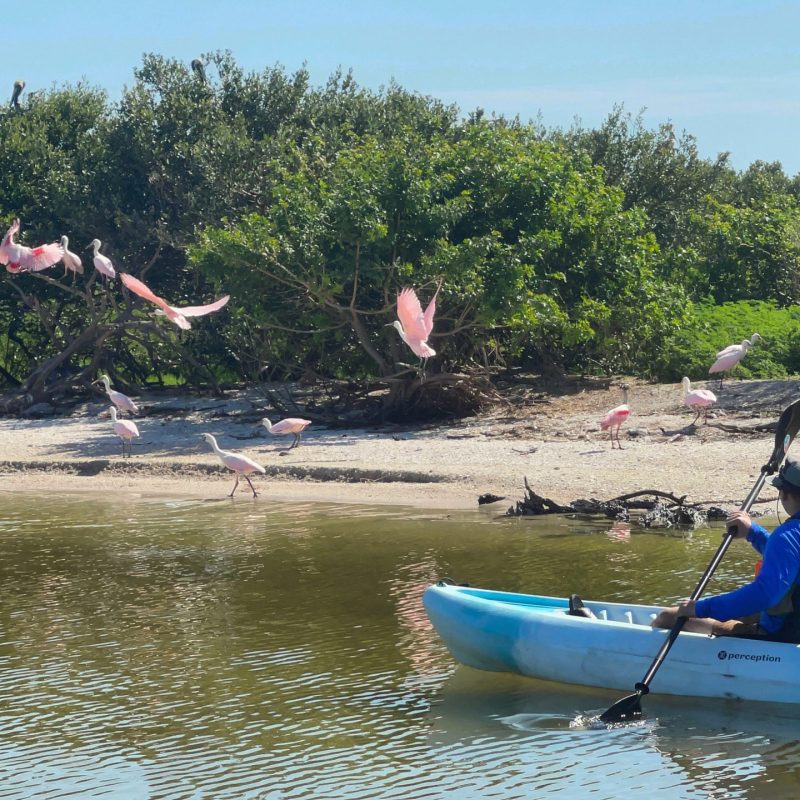 a group of people riding on the back of a boat in the water