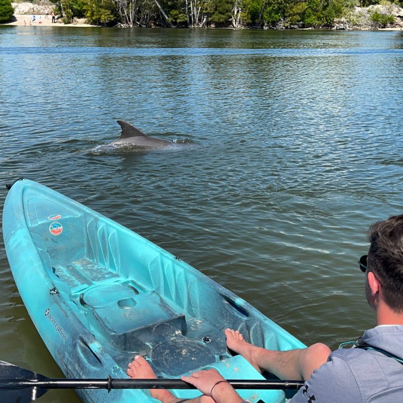 a man sitting in a boat on a body of water