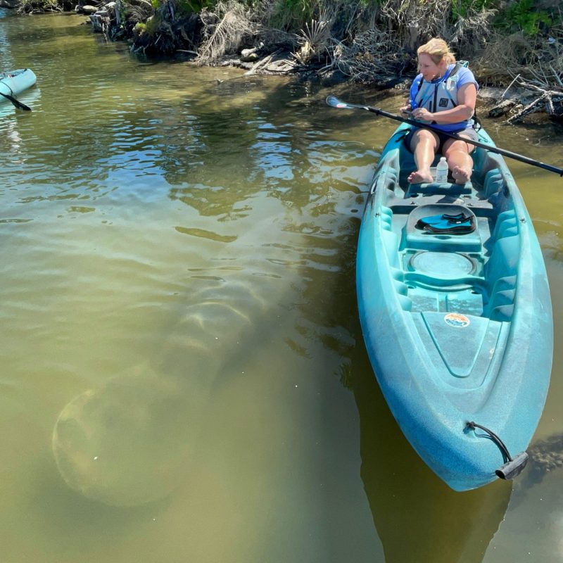 a person rowing a boat in the water