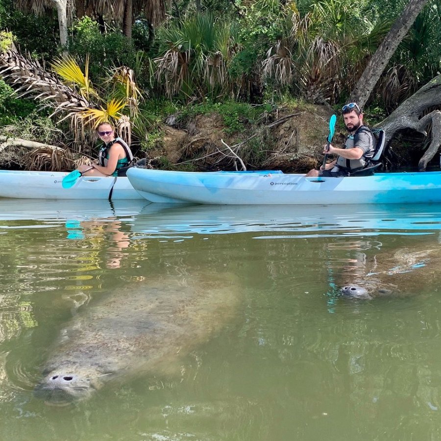 a group of people swimming in a pool of water