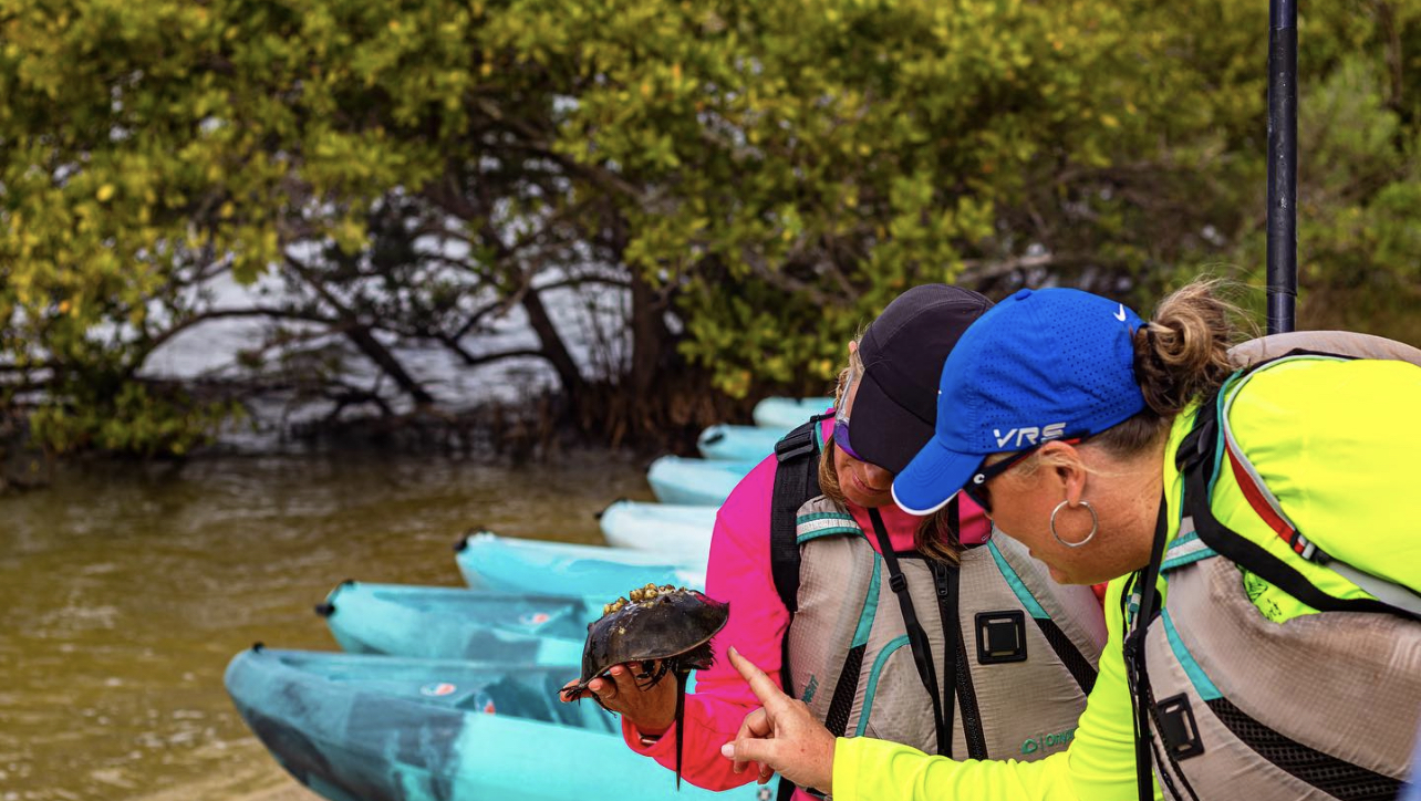 a group of people riding on the back of a boat