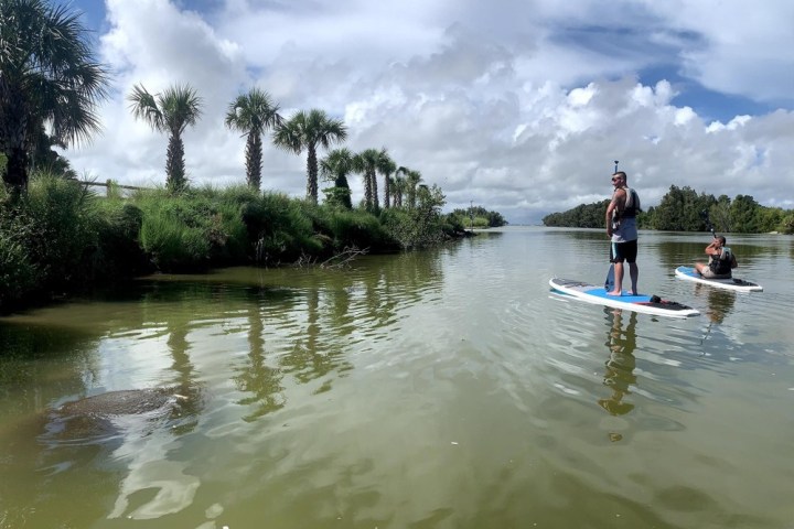 a group of people standing next to a body of water