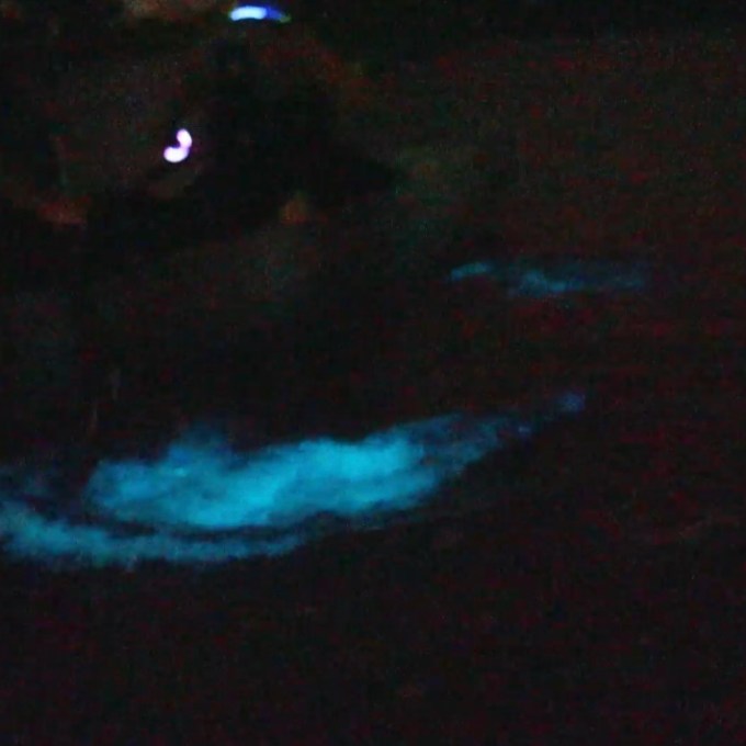 a person in a dark room