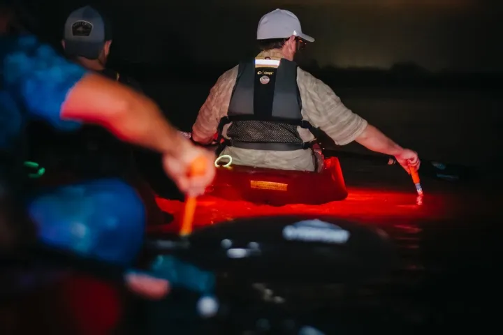 a person wearing a costume