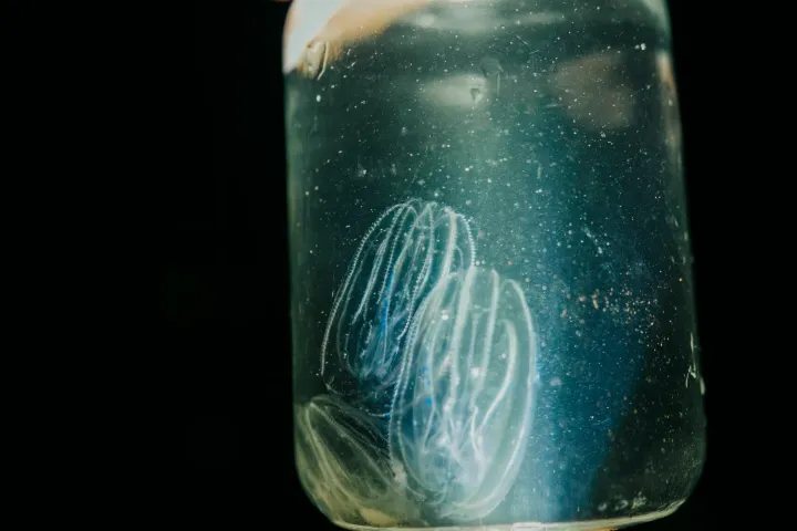 a person holding a bottle