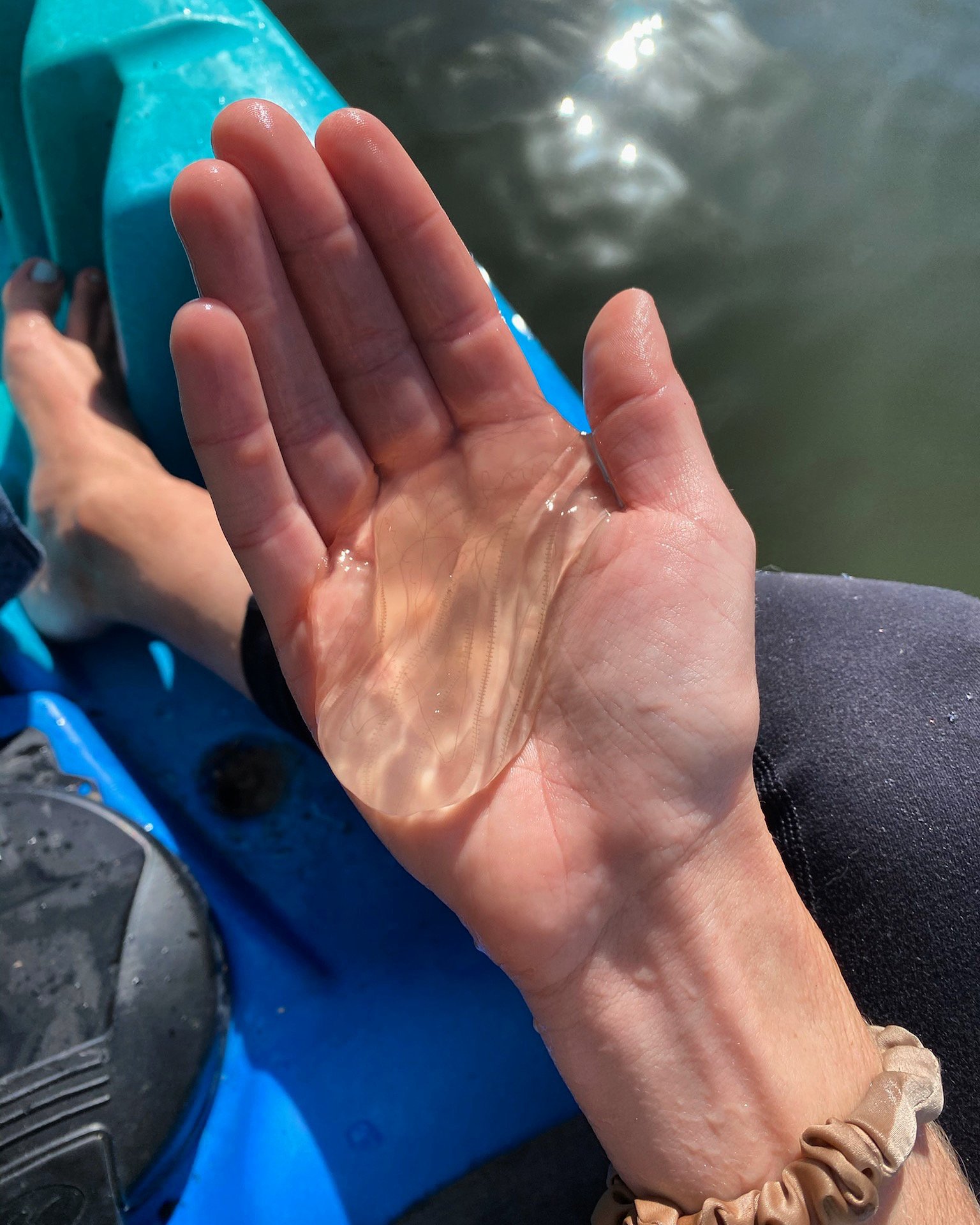 A148DDB3-7256-4970-918F-51B7D5367B9E a hand holding a blue object