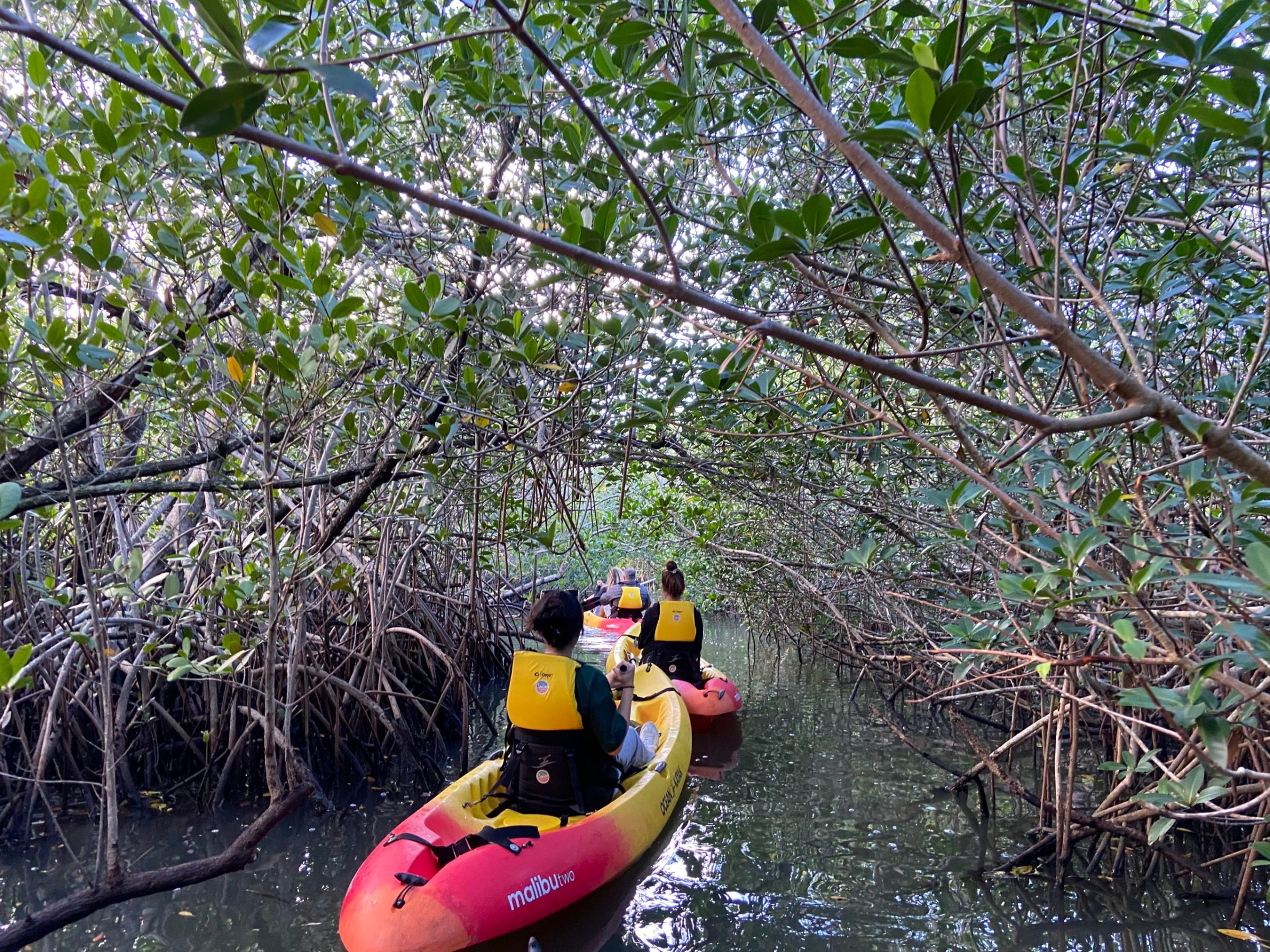 79D22612-46E6-402D-B4C1-F930D14A2380