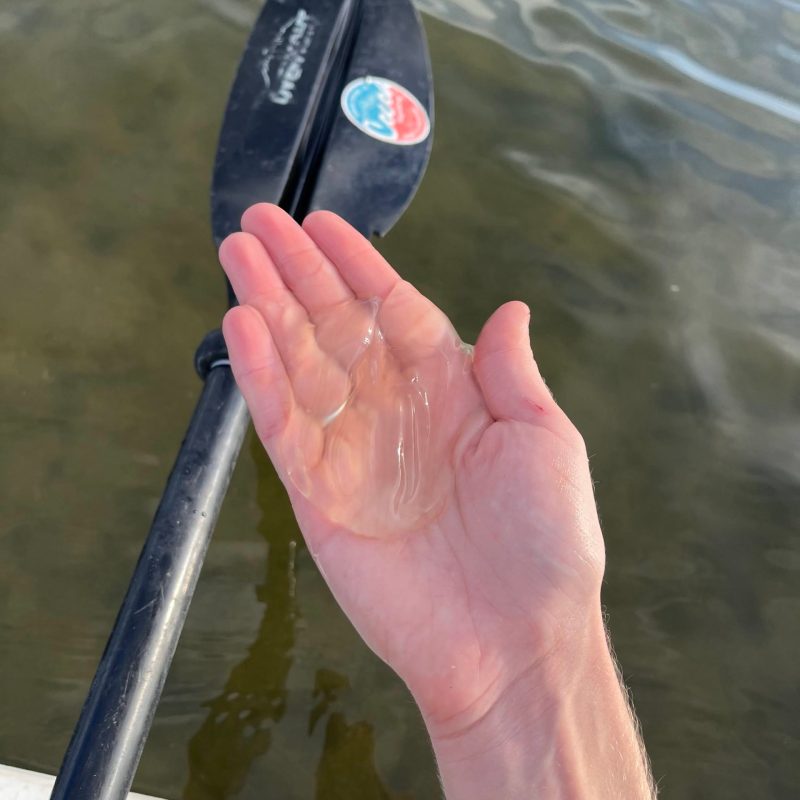 a close up of a person holding a cell phone