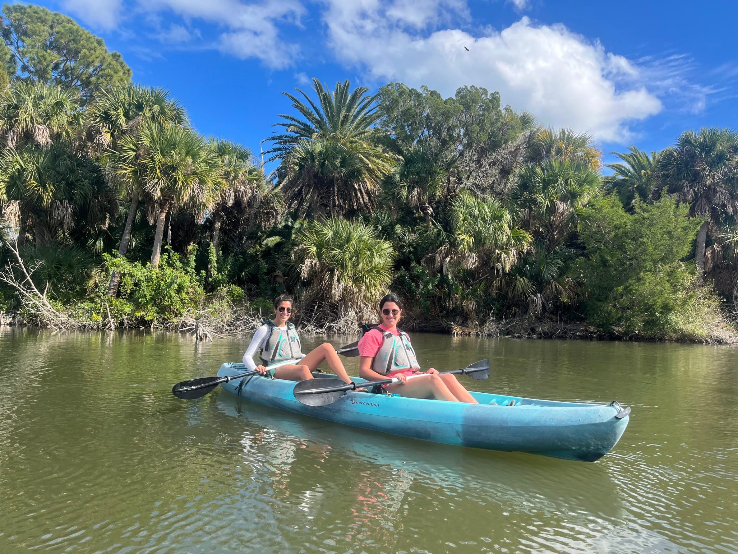 94C4A404-A88C-4C2F-89D5-29F5C4153A8A