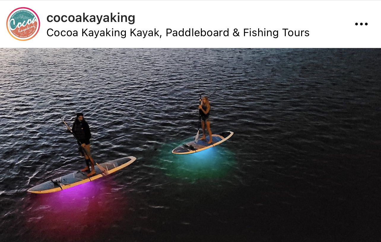 a girl riding a wave on a surfboard in the water