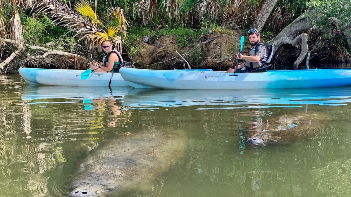 a group of people in a pool of water