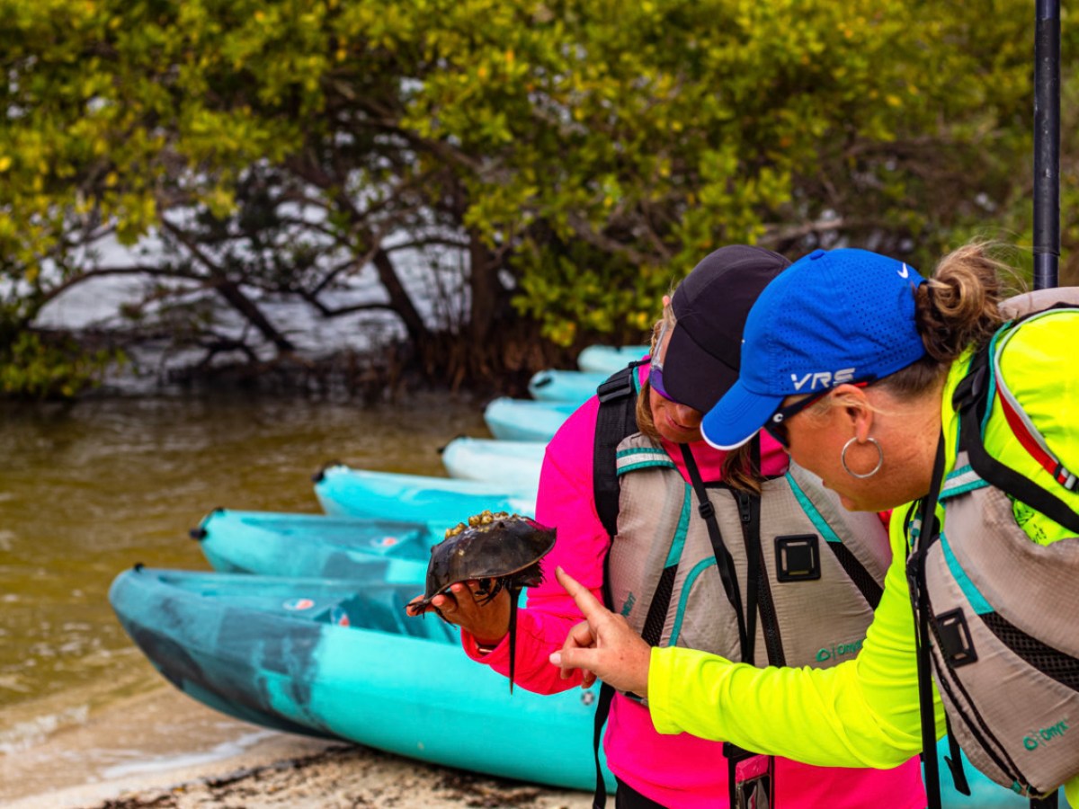 a group of people riding on the back of a boat