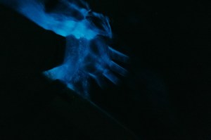 a fish in a dark room