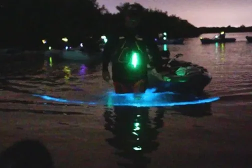 a green traffic light at night