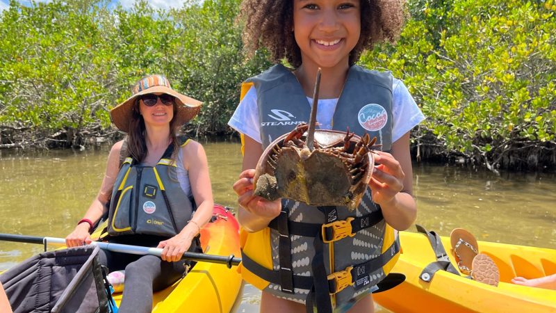 5D1BC788-722D-4F82-890E-8F63B6033180 a young girl holding a horseshoe crab