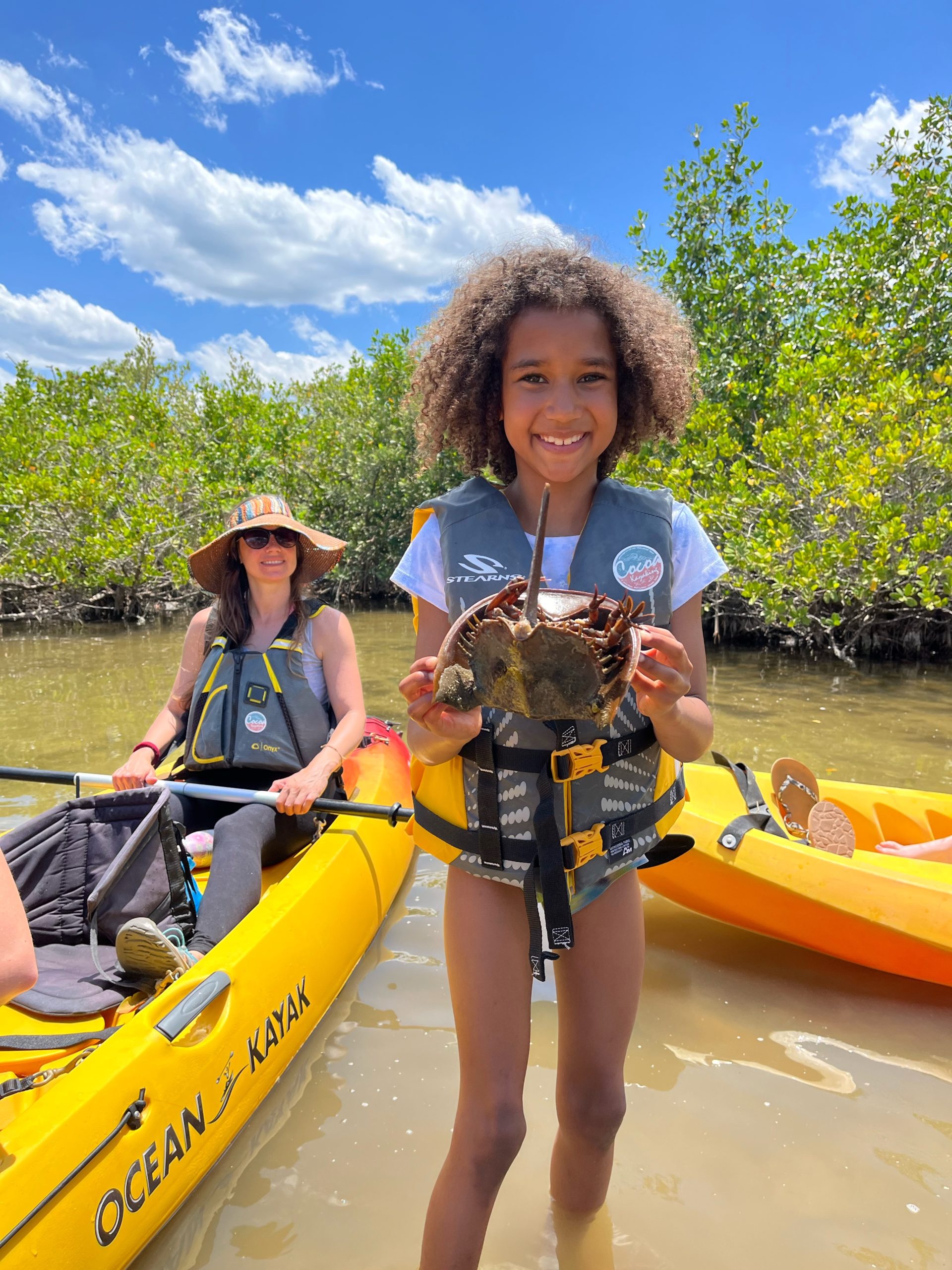 a young girl holding a horseshoe crab