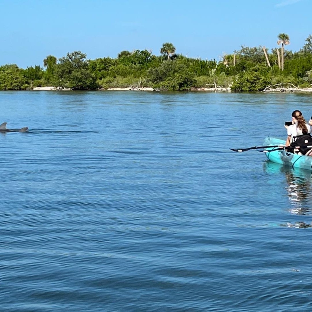 a group of people rowing a boat in a body of water