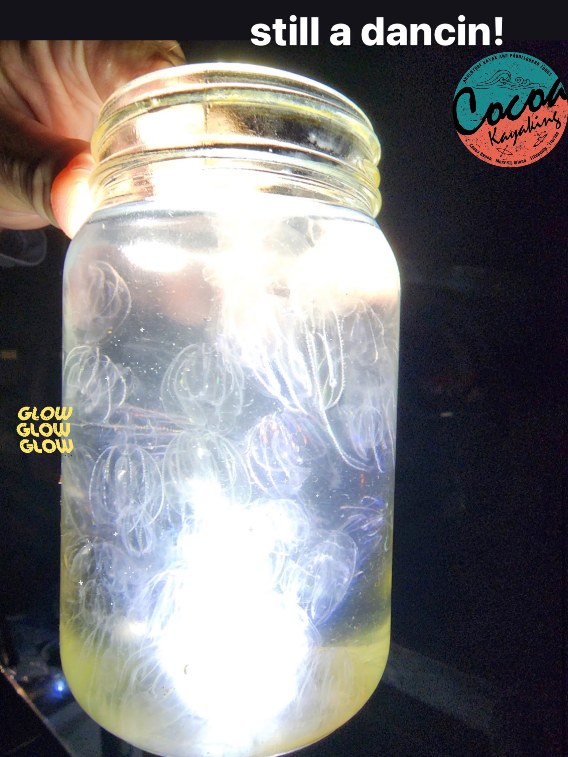 a close up of a bottle