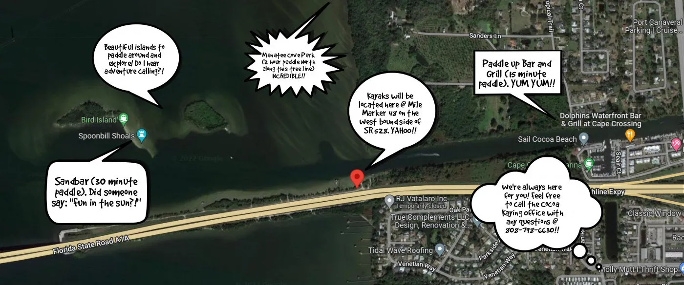 a close up of a book