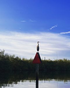 a clock tower next to a body of water